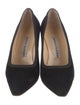 Manolo Blahnik Suede Pumps
