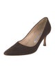 Manolo Blahnik Suede Pumps