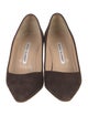 Manolo Blahnik Suede Pumps