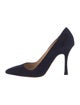 Manolo Blahnik Suede Pumps