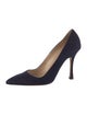Manolo Blahnik Suede Pumps