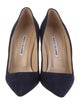 Manolo Blahnik Suede Pumps