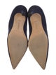 Manolo Blahnik Suede Pumps