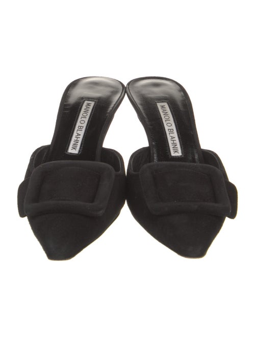 Manolo Blahnik Suede Mules