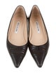Manolo Blahnik Leather Pointed-Toe Flats