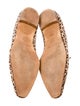 Manolo Blahnik Leopard Print Suede Flats