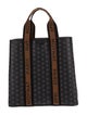 Moynat Tote