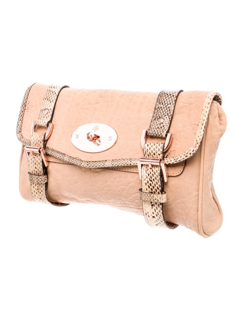 Mulberry Leather Clutch