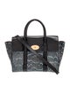 Mulberry Snakeskin Top Handle Bag