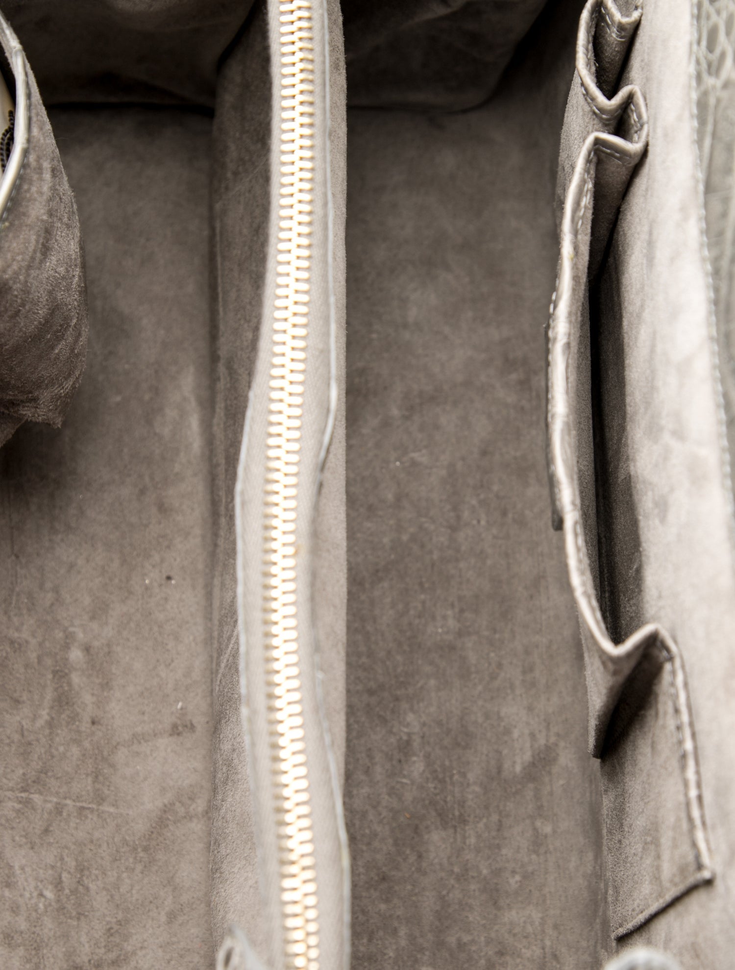 Nancy Gonzalez Crocodile Totes Bag