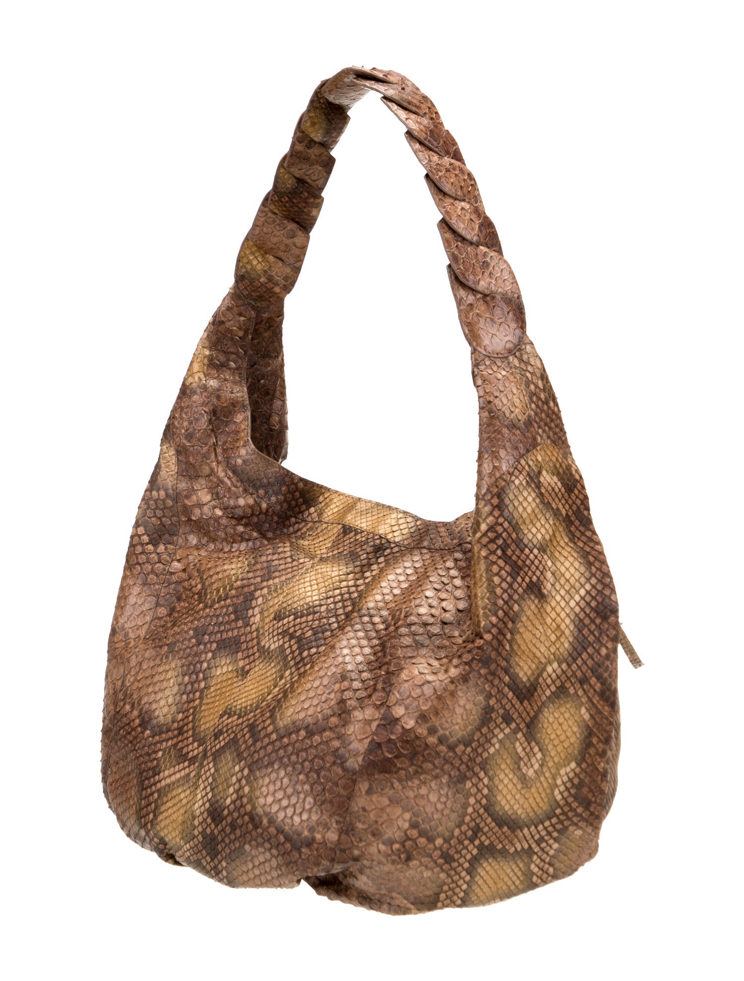 Nancy Gonzalez Python Hobo