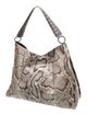 Nancy Gonzalez Python Hobo