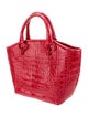 Nancy Gonzalez Crocodile Top Handle Bag