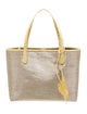 Nancy Gonzalez Tote