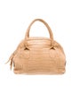 Nancy Gonzalez Crocodile Top Handle Bag