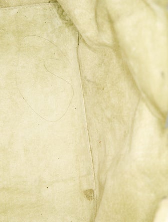 Nancy Gonzalez Crocodile Tote