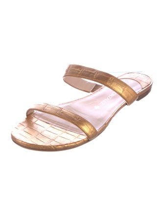 Nancy Gonzalez Crocodile Slides