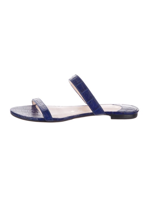 Nancy Gonzalez Crocodile Slides