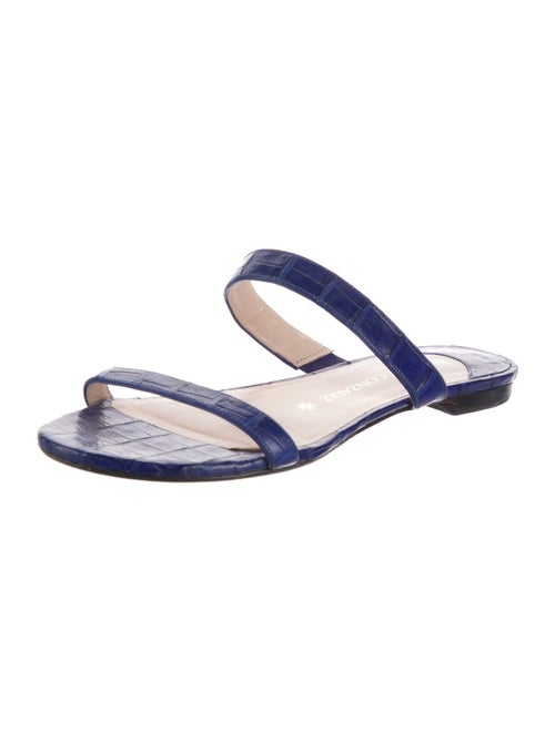 Nancy Gonzalez Crocodile Slides