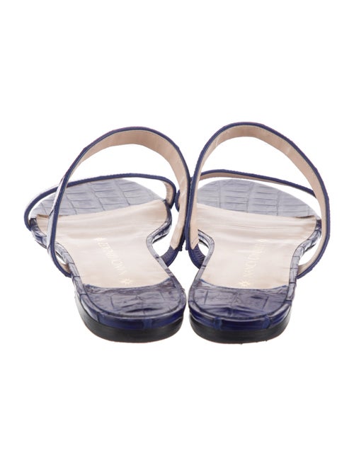 Nancy Gonzalez Crocodile Slides