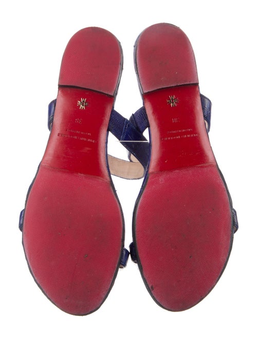 Nancy Gonzalez Crocodile Slides