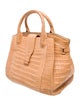 Nancy Gonzalez Alligator Top Handle Bag
