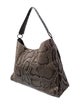 Nancy Gonzalez Python Hobo
