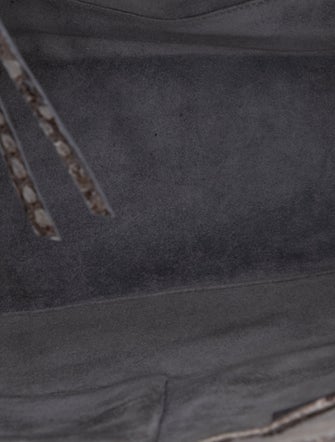 Nancy Gonzalez Python Hobo