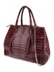 Nancy Gonzalez Crocodile Top Handle Bag