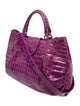 Nancy Gonzalez Crocodile Top Handle Bag
