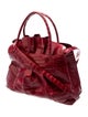 Nancy Gonzalez Crocodile Top Handle Bag