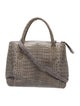 Nancy Gonzalez Crocodile Top Handle Bag