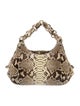 Nancy Gonzalez Python Hobo 24
