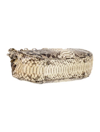 Nancy Gonzalez Python Hobo 24