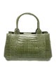 Nancy Gonzalez Crocodile Top Handle Bag