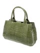 Nancy Gonzalez Crocodile Top Handle Bag