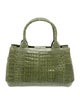 Nancy Gonzalez Crocodile Top Handle Bag