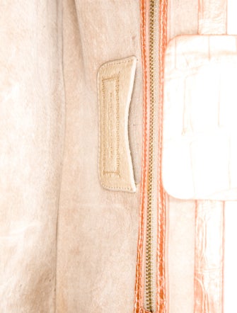Nancy Gonzalez Crocodile Clutch