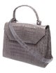 Nancy Gonzalez Crocodile Top Handle Bag