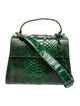 Nancy Gonzalez Python Top Handle Bag
