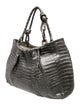Nancy Gonzalez Crocodile Hobo