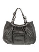 Nancy Gonzalez Crocodile Hobo