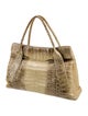 Nancy Gonzalez Crocodile Top Handle Bag