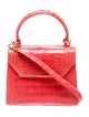 Nancy Gonzalez Crocodile Watermelon Handle Bag