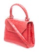 Nancy Gonzalez Crocodile Watermelon Handle Bag