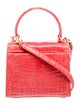 Nancy Gonzalez Crocodile Watermelon Handle Bag