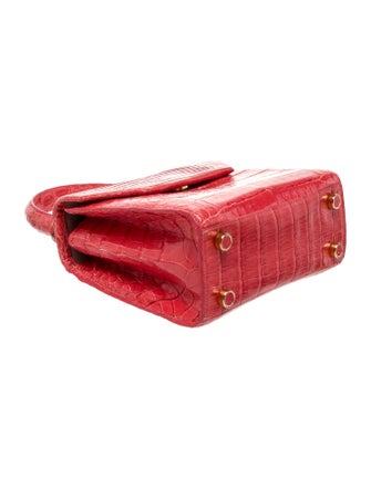 Nancy Gonzalez Crocodile Watermelon Handle Bag