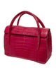 Nancy Gonzalez Crocodile Top Handle Bag