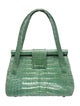 Nancy Gonzalez Crocodile Shoulder Bag