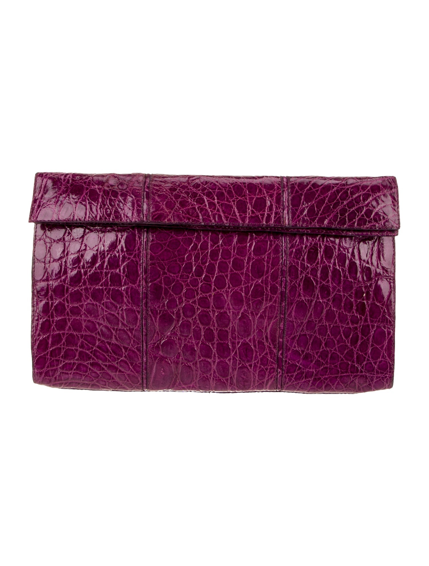 Nancy Gonzalez Alligator Portfolio